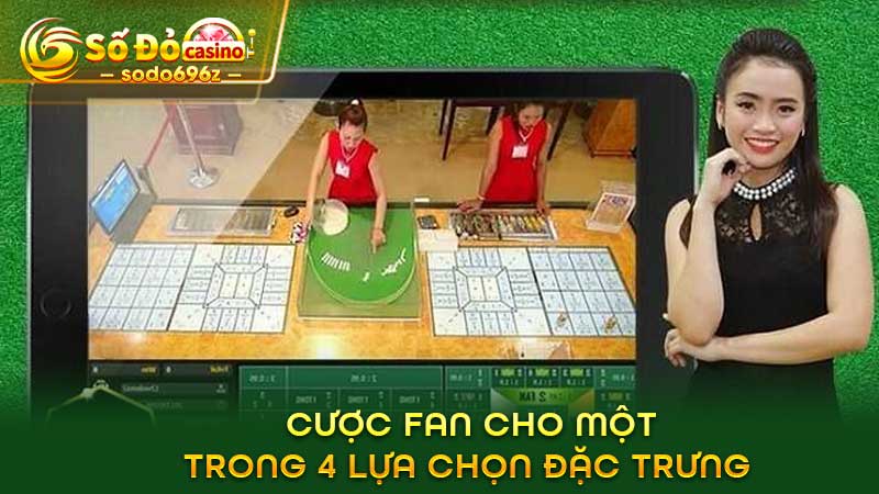 Cược fan với 4 lựa chọn đặc trưng.