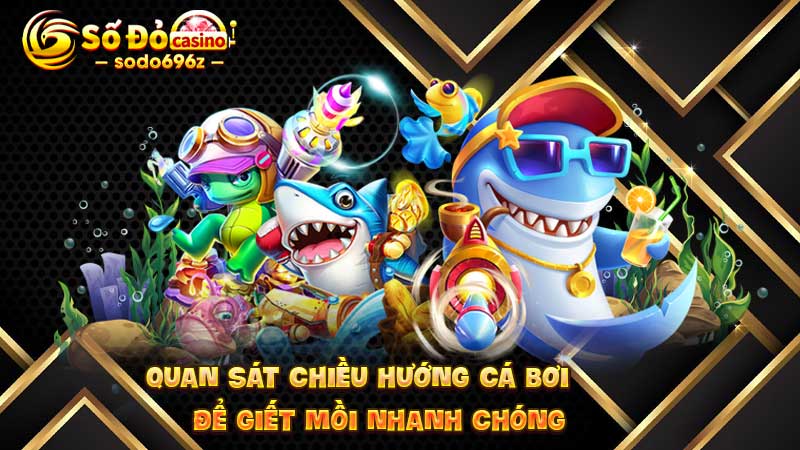 Kỹ năng quan sát cá bơi trong game SODO